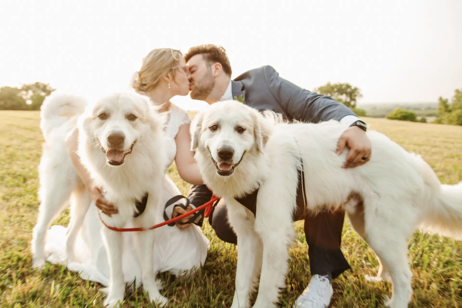 02. Not being able to imagine your special day without your two fur babies - and wildly chasing them all over the field before catching them for an official "family photo."